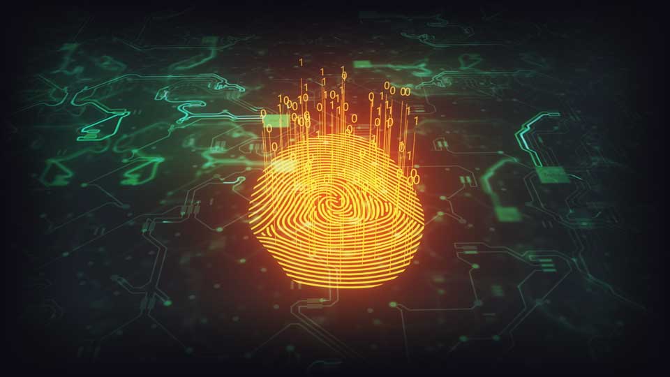 Digital Fingerprint Representing Cyber Security and Privacy
